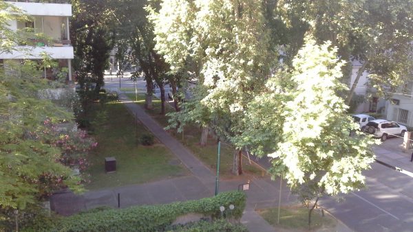 VENTA DEPARTAMENTO EN EL GOLF - Imagen 19